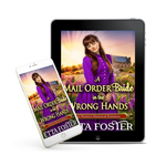 A Mail Order bride in the Wrong Hands [EBOOK]