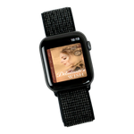 The Debutante's Wish [AUDIOBOOK]